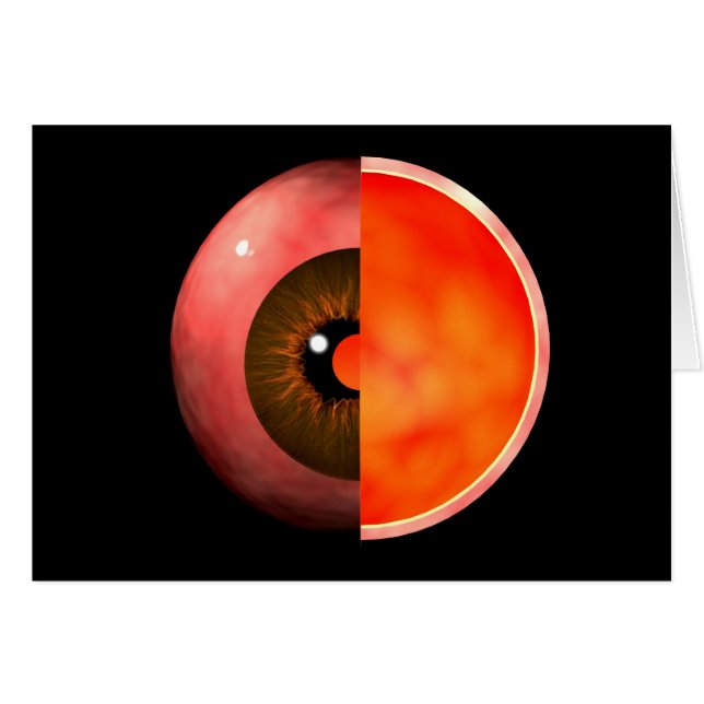 Conceptual Image of human Eye Cross Section 3 (Vorderseite (Horizontal))