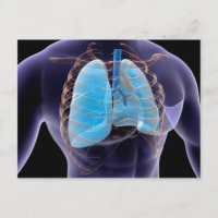Conceptual Image of Human Lungs and Rib Cage 2