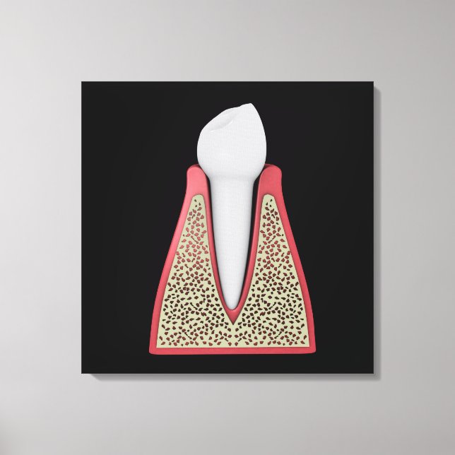 Conceptual Image of Human Tooth 1 Leinwanddruck (Vorderseite)