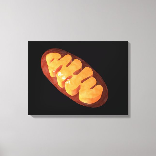 Conceptual Image of Mitochondria 1 Leinwanddruck (Vorderseite)