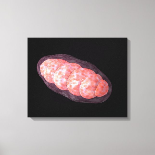 Conceptual Image of Mitochondria 2 Leinwanddruck (Vorderseite)
