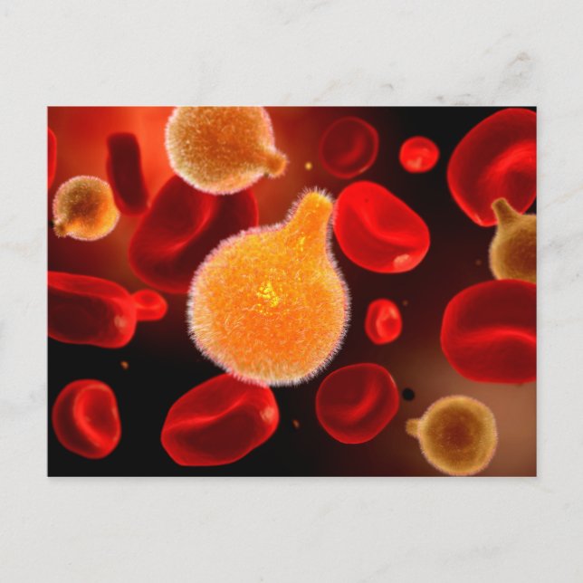 Conceptual Image of Plasmodium causing Malaria 2 Postkarte (Vorderseite)