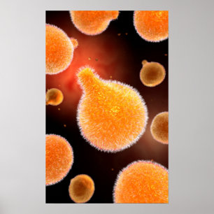 Conceptual Image of Plasmodium causing Malaria 3 Poster