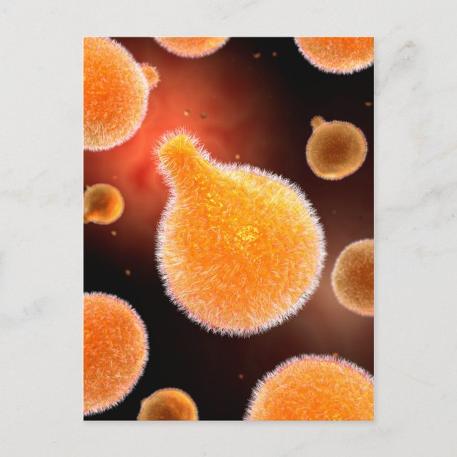 Conceptual Image of Plasmodium causing Malaria 3 Postkarte (Vorderseite)