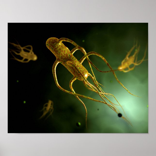 Conceptual Image of Salmonella Typhi 2 Poster (Vorne)