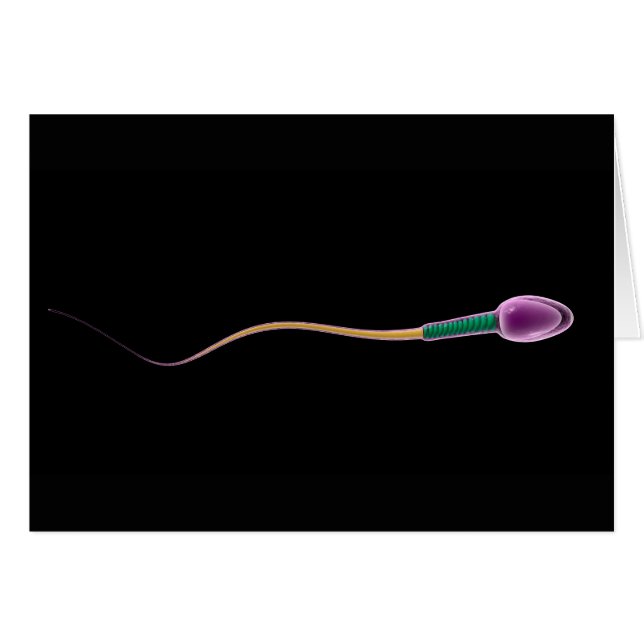 Conceptual Image of Sperm Anatomy (Vorderseite (Horizontal))