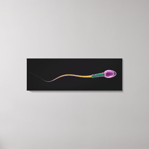 Conceptual Image of Sperm Anatomy Leinwanddruck