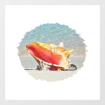Conch am Beach Keramik Tile Desk Organisator Sho