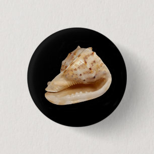 Conch Muschel Abzeichen Button