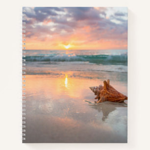 Conch Muschel am Strand   Jamaika Notizbuch
