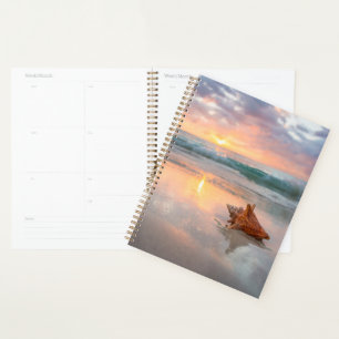 Conch Muschel am Strand Jamaika Planer