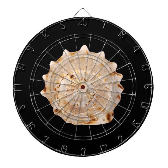 Conch Muschel Dart Board Dartscheibe (vorne)