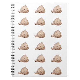 Conch Muschel Foto Notebook Notizblock