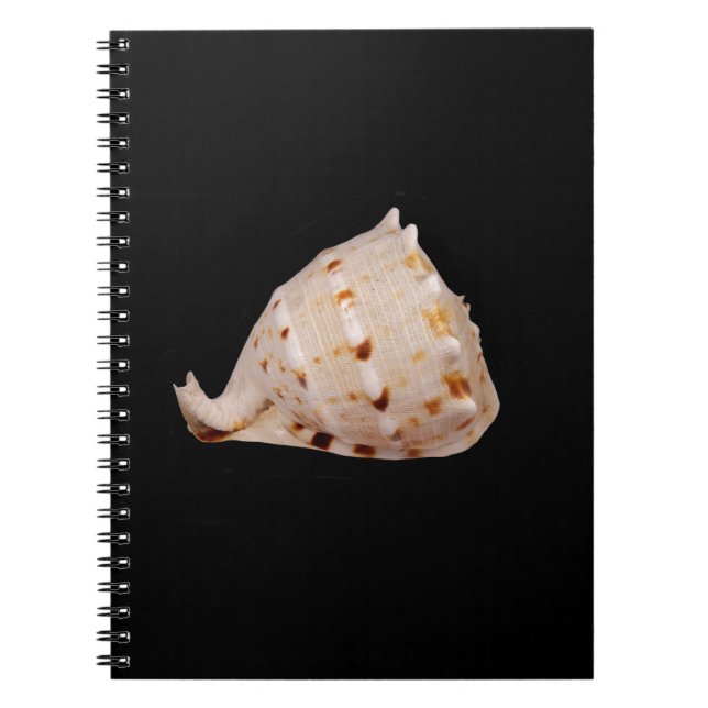 Conch Muschel Foto Notebook Notizblock (Vorderseite)