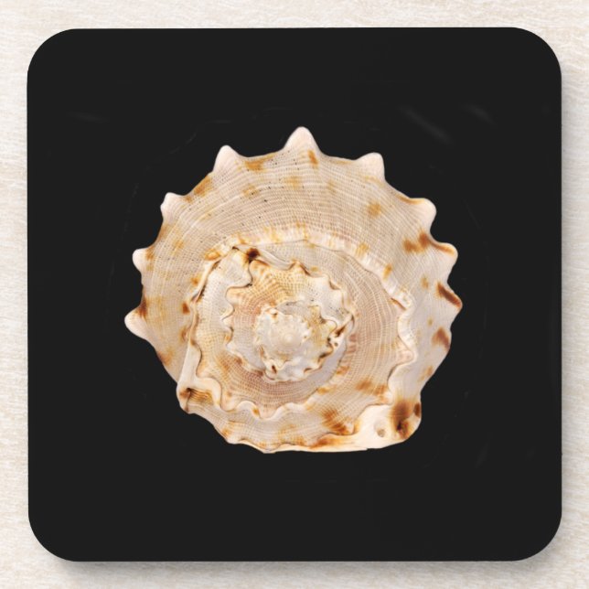 Conch-Muschel-Hartkunststoff-Untersetzer Untersetzer (Vorderseite)