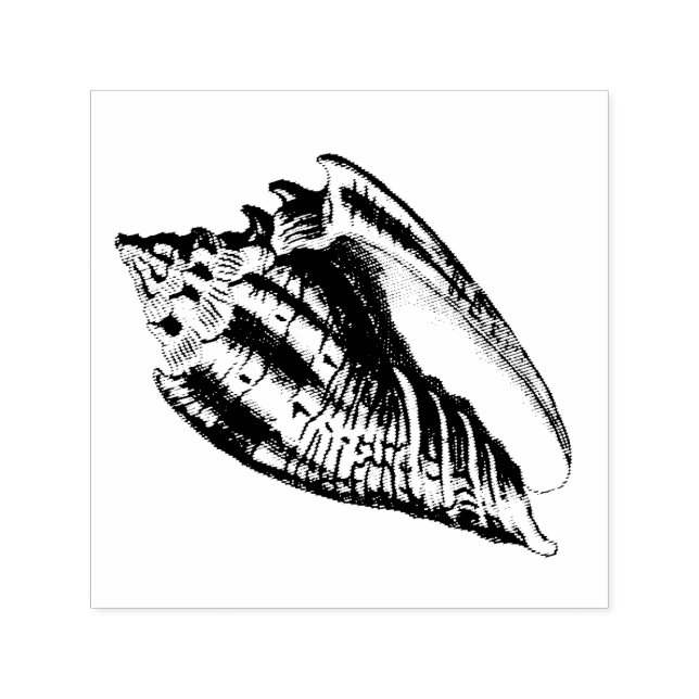 Conch-Muschel-Illustration Permastempel (Design)