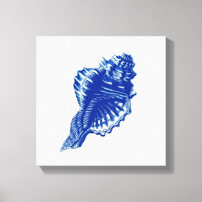 Conch Muschel, Indigo Blau und Weiß Leinwanddruck (Vorderseite)