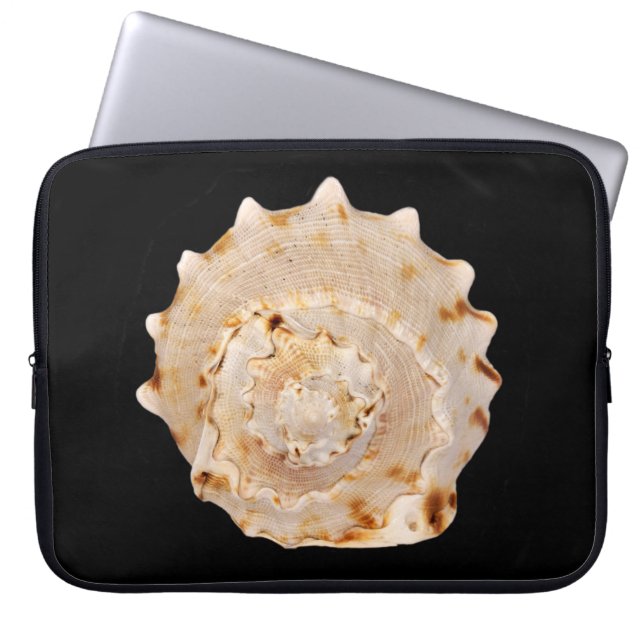 Conch Muschel Laptop Sleeve (Vorderseite)