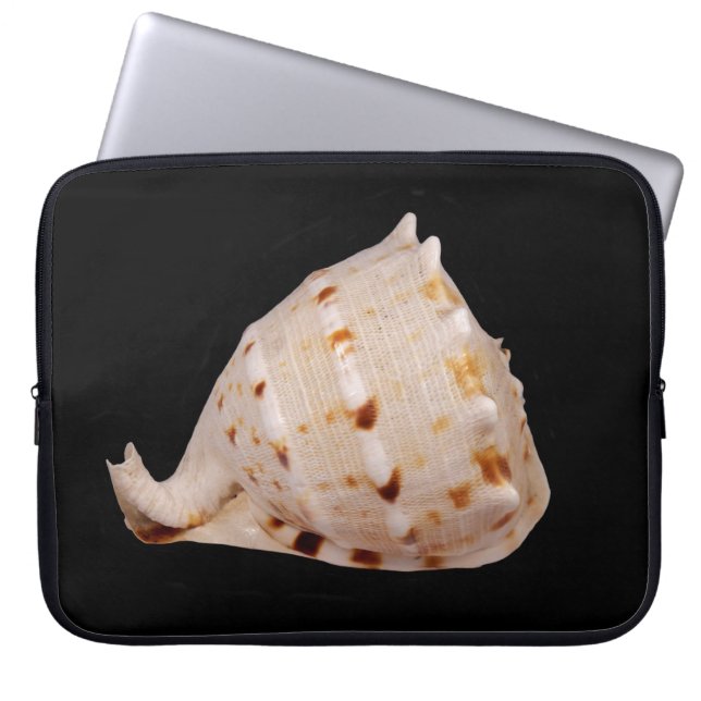 Conch Muschel Laptop Sleeve (Vorderseite)