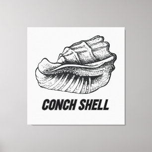 Conch-Muschel Leinwanddruck