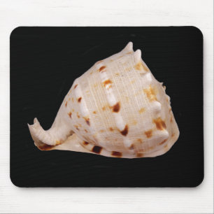 Conch Muschel Mouse Mat Mousepad