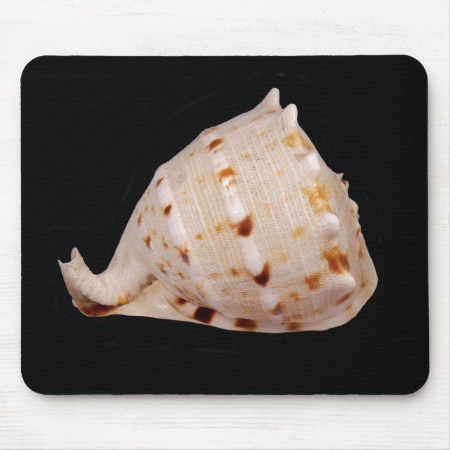 Conch Muschel Mouse Mat Mousepad (Vorne)