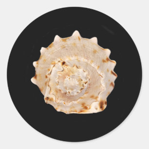 Conch-Muschel Runder Aufkleber