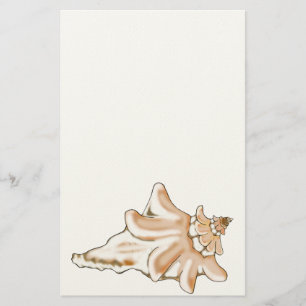 Conch Muschel Stationery Briefpapier