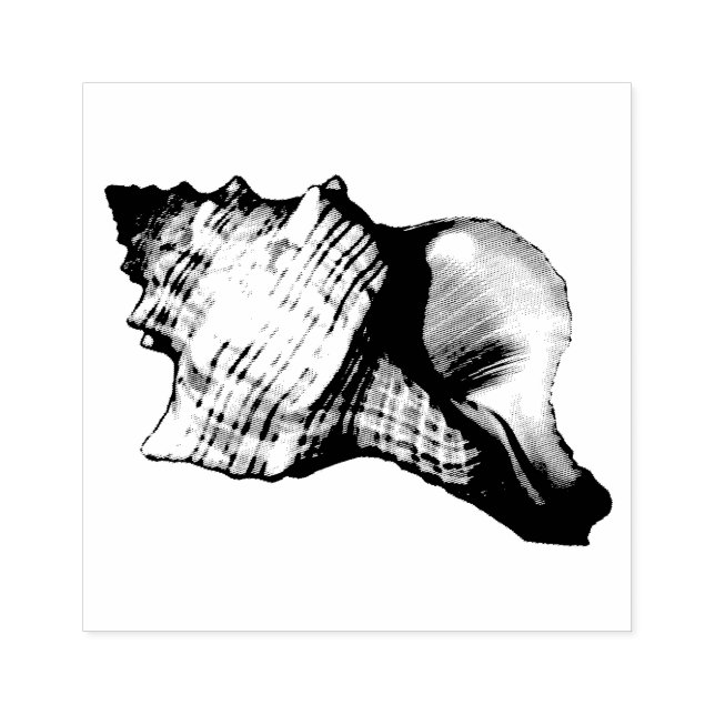 Conch Muschel Vintag Illustration Gummistempel (Prägung)