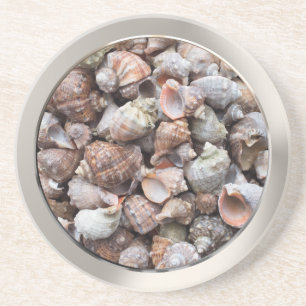 Conch-Muscheln Getränkeuntersetzer