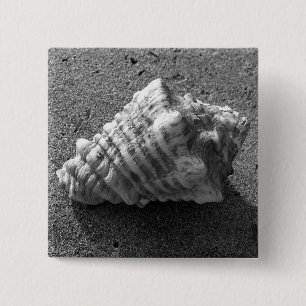 Conch Seashell Sand Beach Button Button