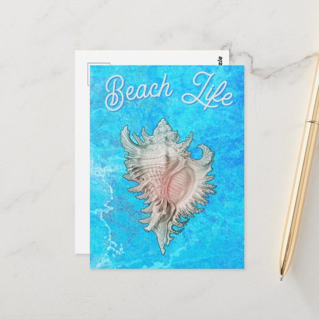 Conch Shell "Beach Life" Postkarte (Vorderseite/Rückseite Beispiel)