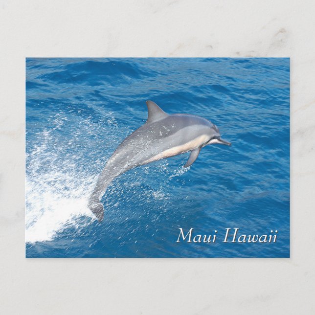 Concord Landung in Seattle Postkarte (Vorderseite)