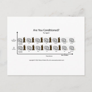 Conditioned Elephant Postkarte