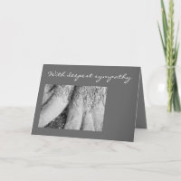 Condolence Card Foto für Schwarz und Weiß