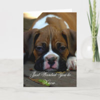 Condolences Boxer Welpen-Grußkarte