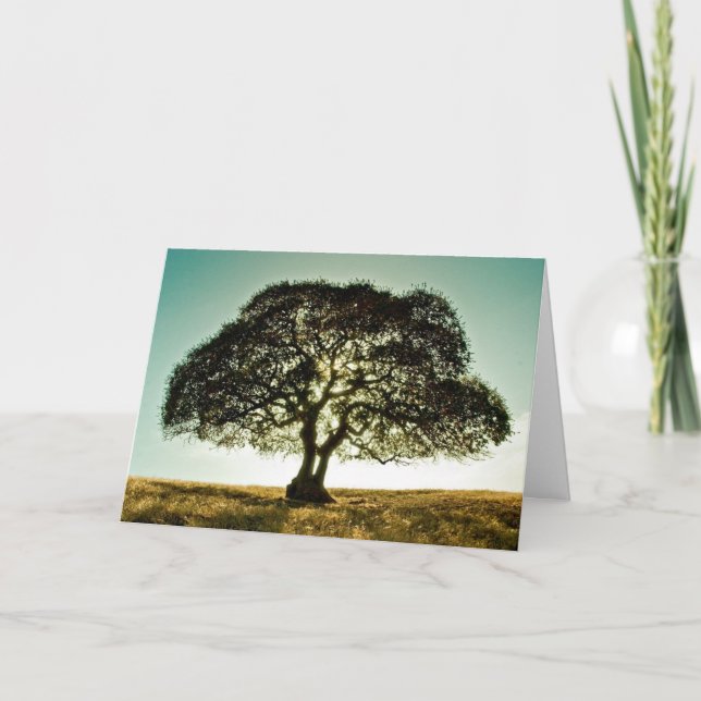 Condolences Card mit Tree Karte (Vorderseite)