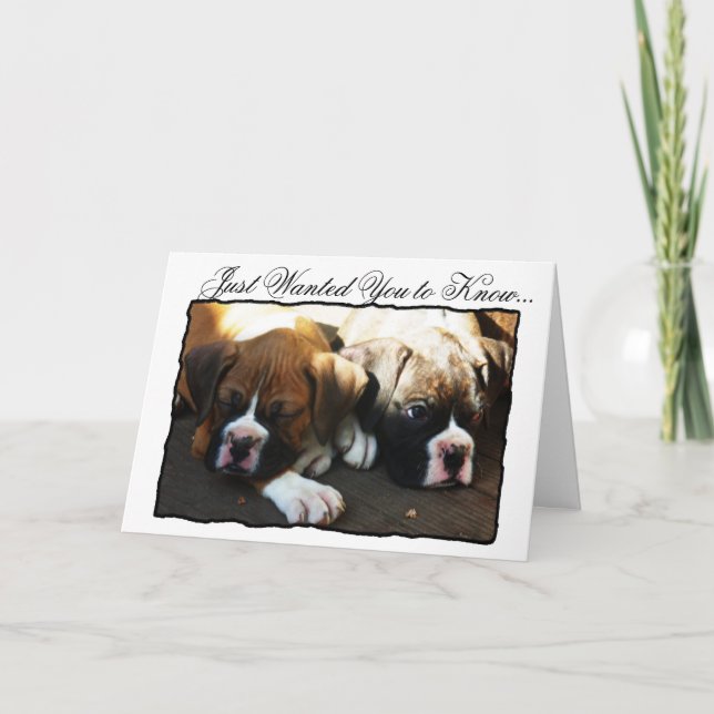 Condolences Chiots Boxer carte de voeux (Devant)