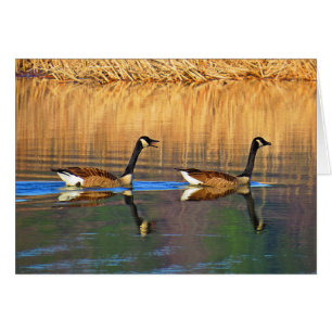 Conducteur de siège arrière