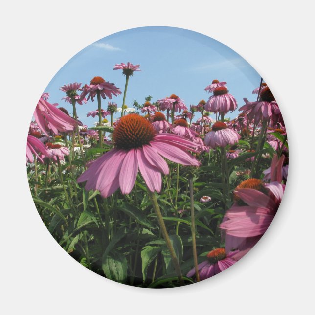 Cone Blume Magnet (Vorne)