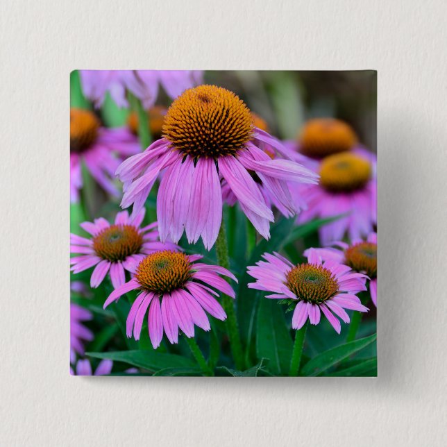 Coneflower Button (Vorderseite)