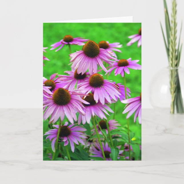 Coneflower Greeting Card Karte (Vorderseite)