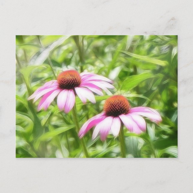 Coneflower Twins Postkarte (Vorderseite)