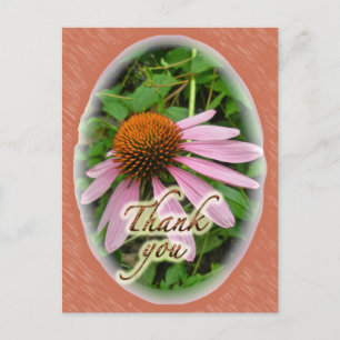 Coneflower - Vielen Dank für Ihre koordinierten Be Postkarte