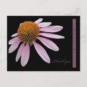 Coneflower Vielen Dank Postkarte