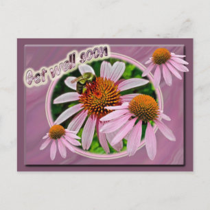 Coneflower wird bald gut postkarte