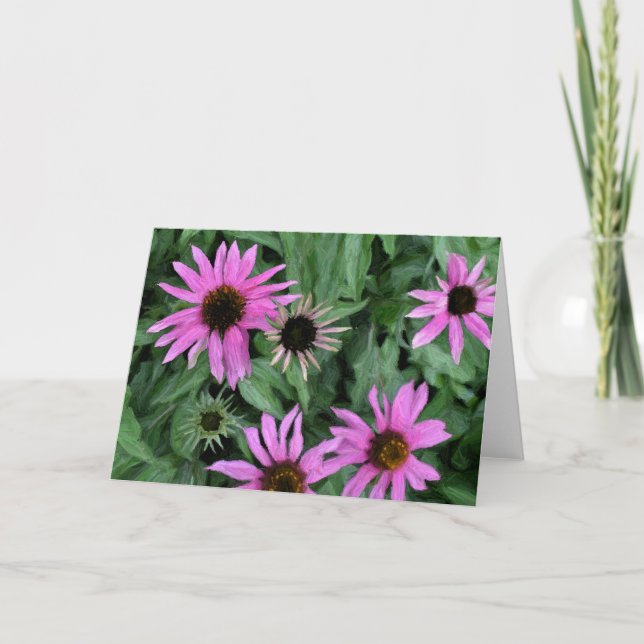 Coneflowers Gruß-Karte Karte (Vorderseite)