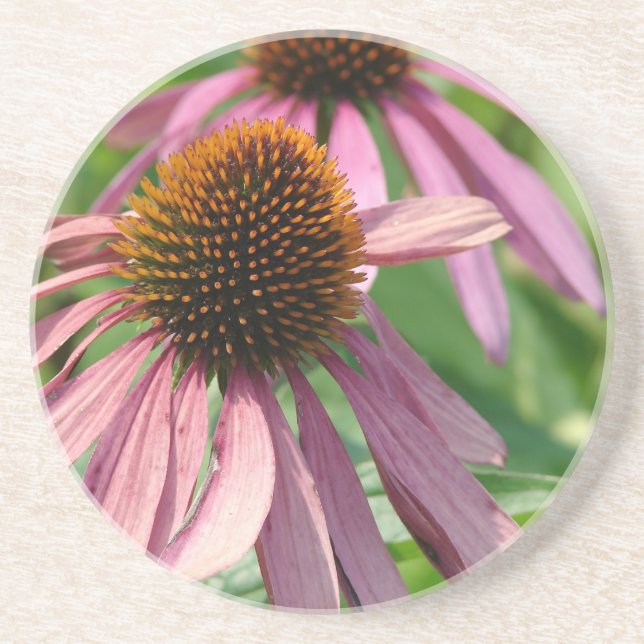 Coneflowers Untersetzer (Vorne)
