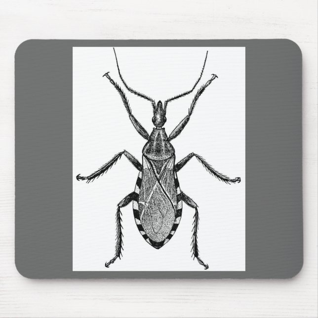 Conenose-Wanze - Vintage Mousepad (Vorne)