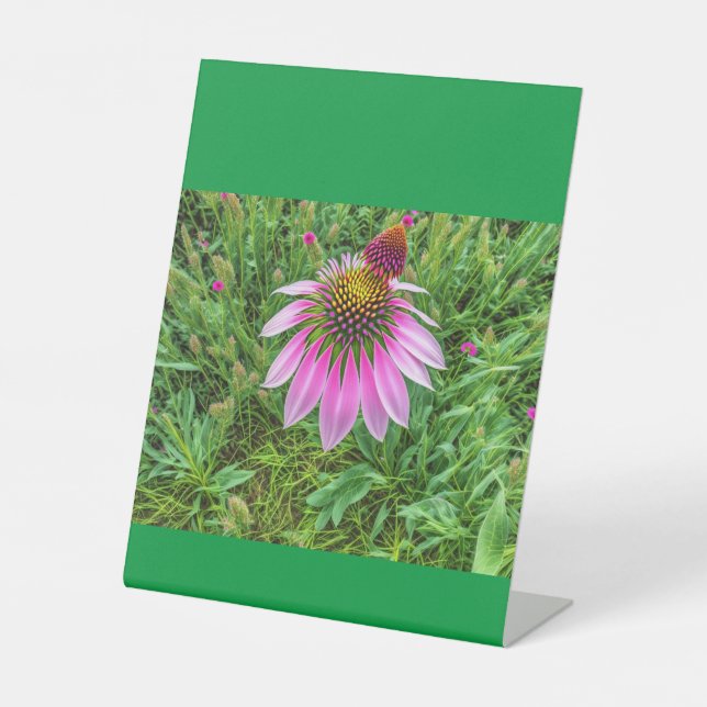 Cones-Liebe Sockelschild (Vorderseite)